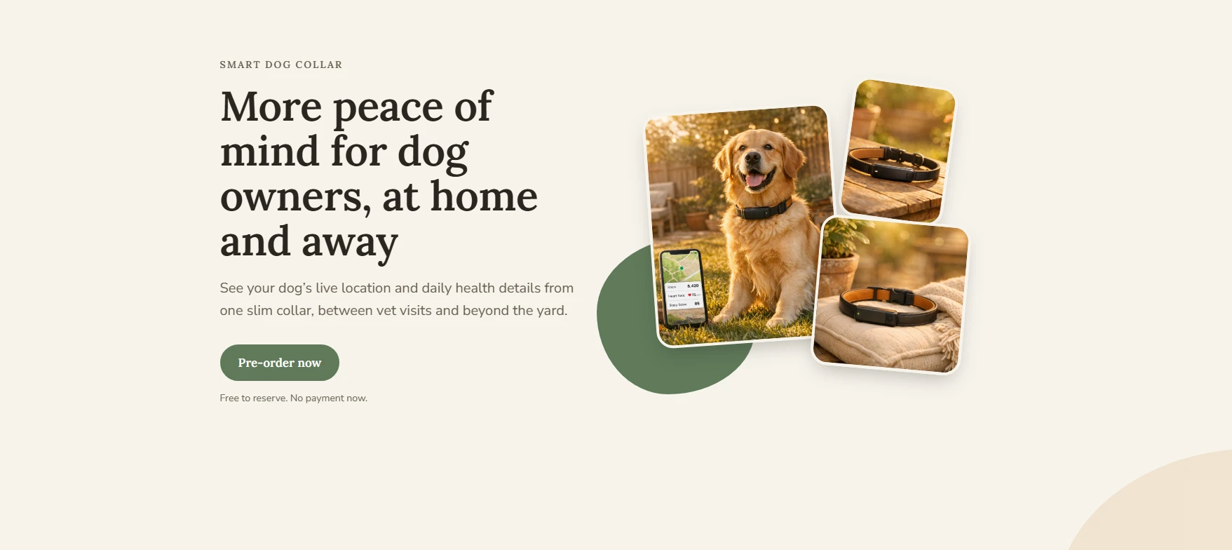 Smart Collar landing page example