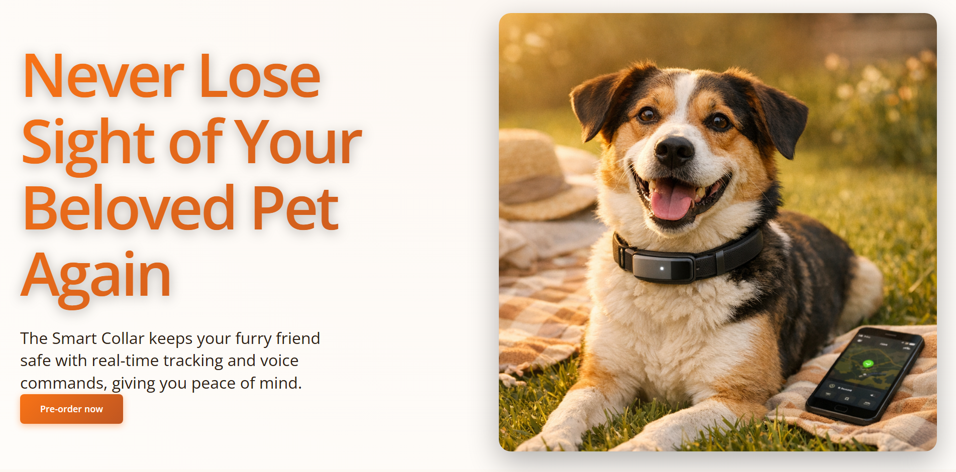 Smart Collar landing page example